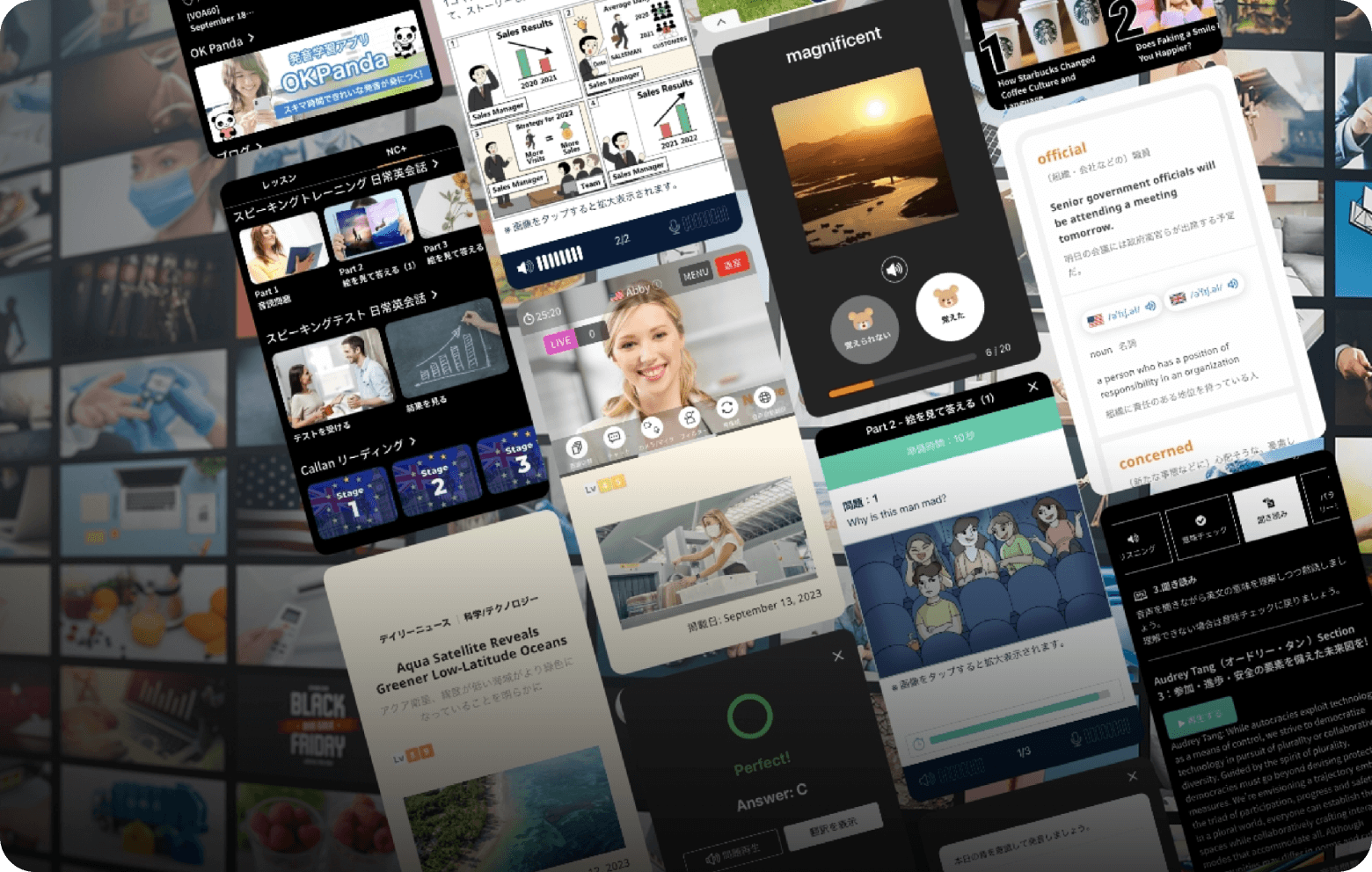 ネイティブキャンプ